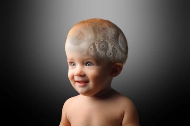 The Science of Early Learning