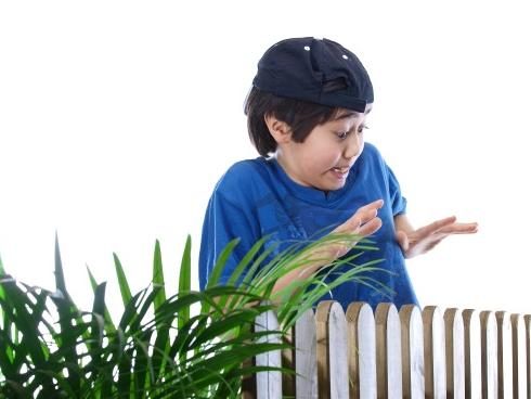 Ask The Expert – Overcoming Fear