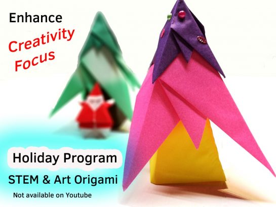 Origami Academy: School Holiday Origami Workshop